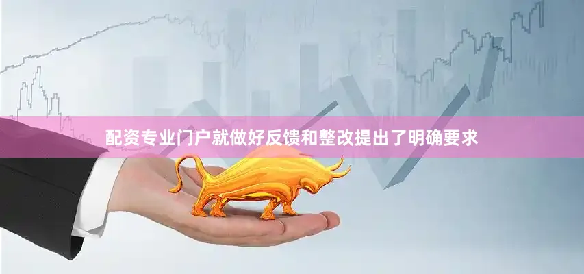 配资专业门户就做好反馈和整改提出了明确要求