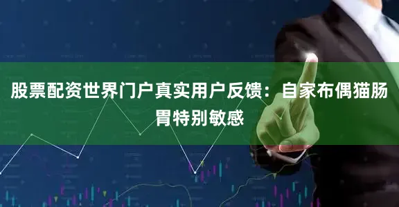 股票配资世界门户真实用户反馈：自家布偶猫肠胃特别敏感